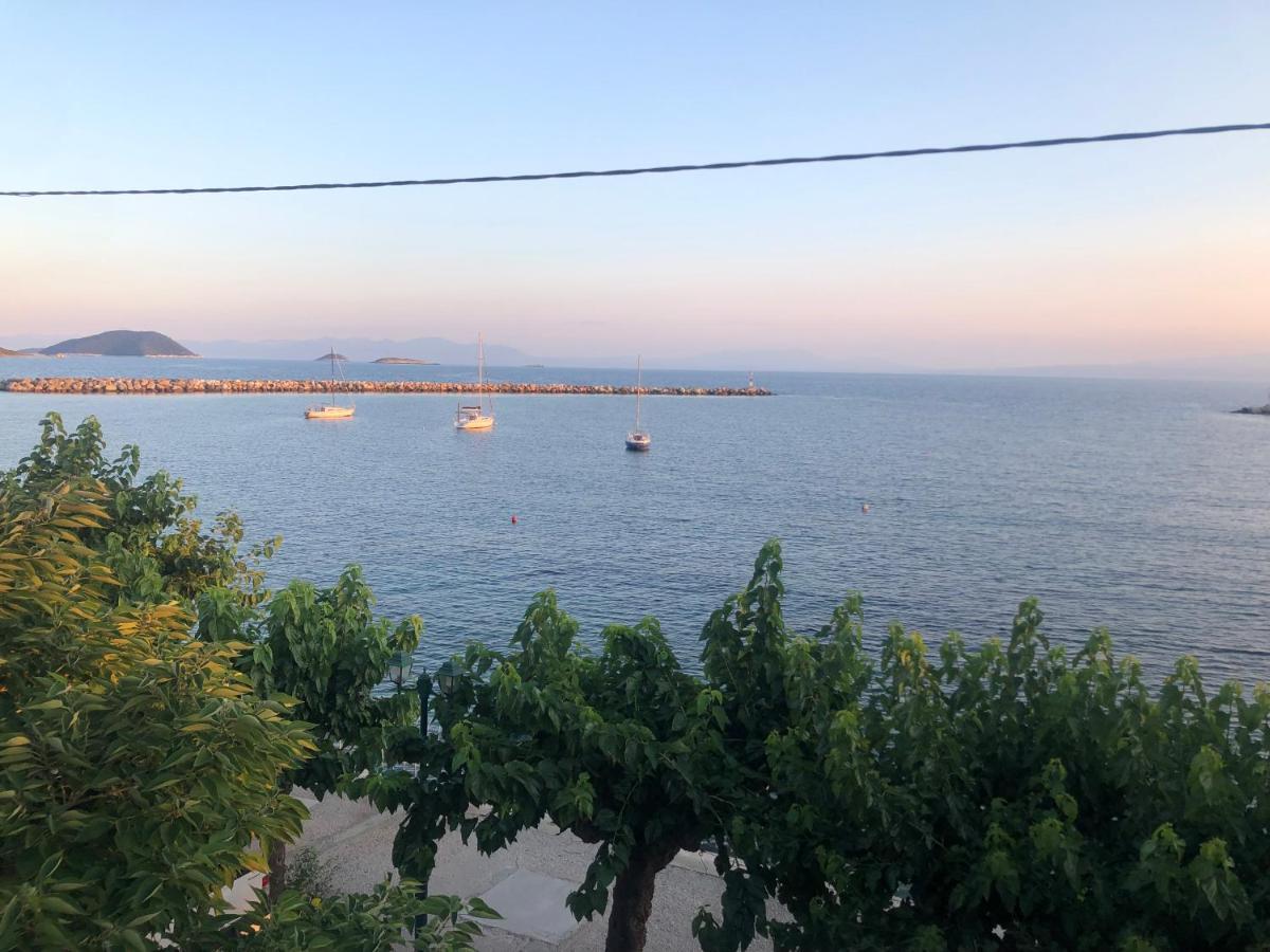 Apartment Jonny O, By The Sea Loutraki (Skopelos)